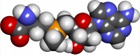 S Adenosyl Methionine