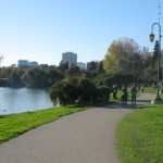 Morning Walk - The Daily Routine